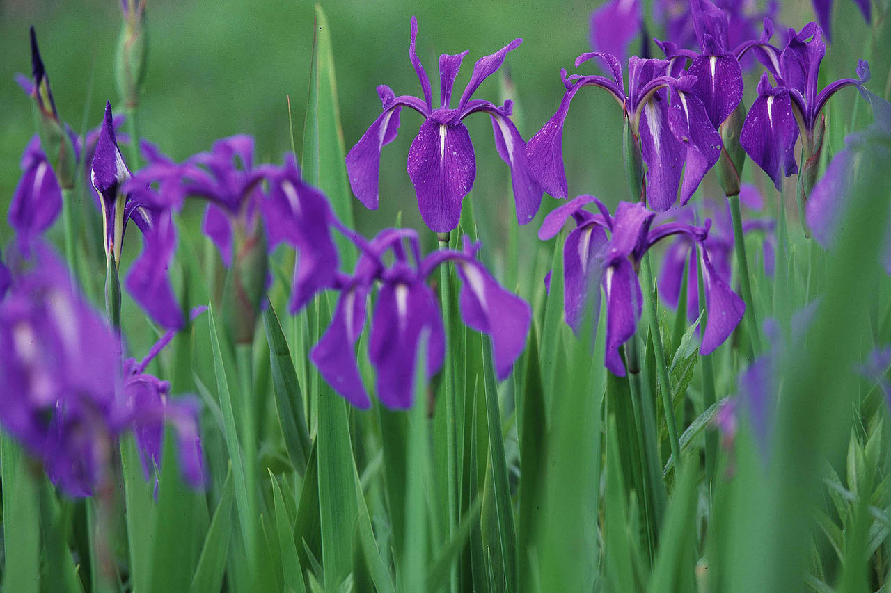 9aa62792.jpg